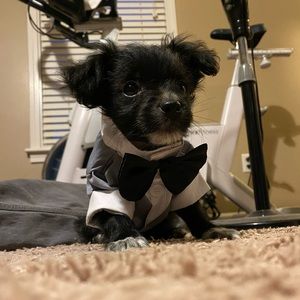 Meet your Posher, Morgan